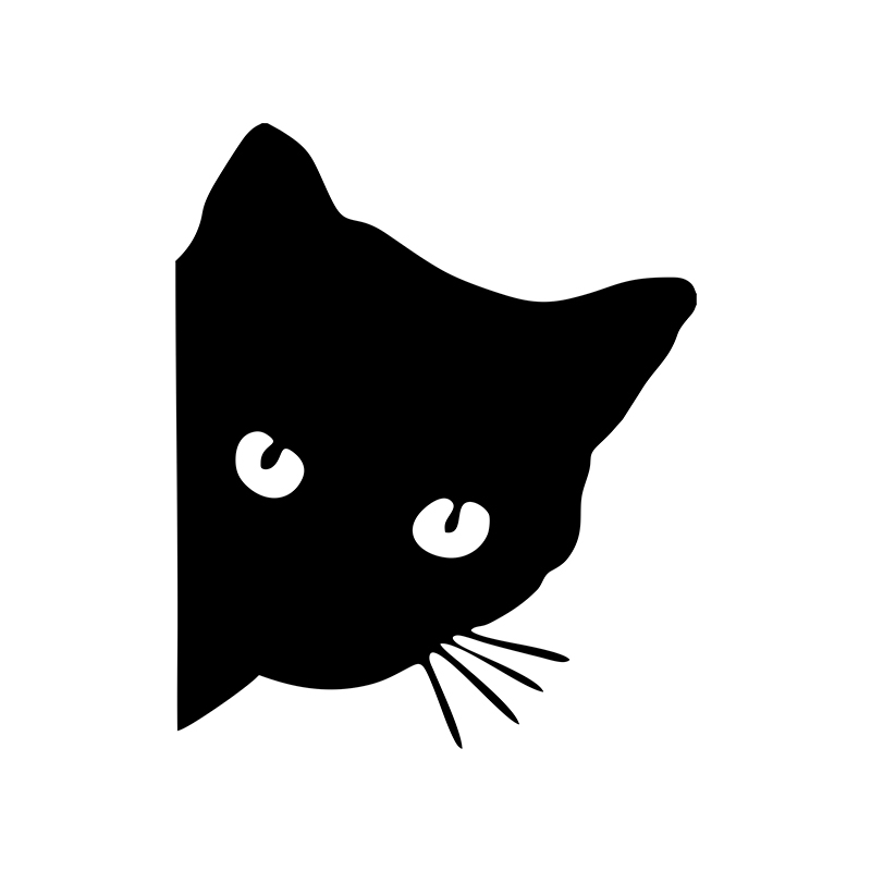 자동차 인테리어 스티커 블랙/화이트/레이저 고양이 스티 - Interior Design Intern 리뷰 및 가격